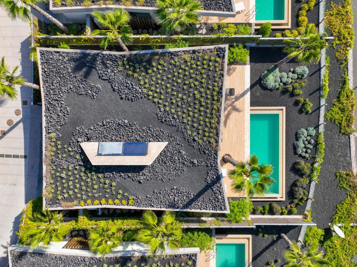 Los Jardines De Abama Suites Guía de Isora Eksteriør billede